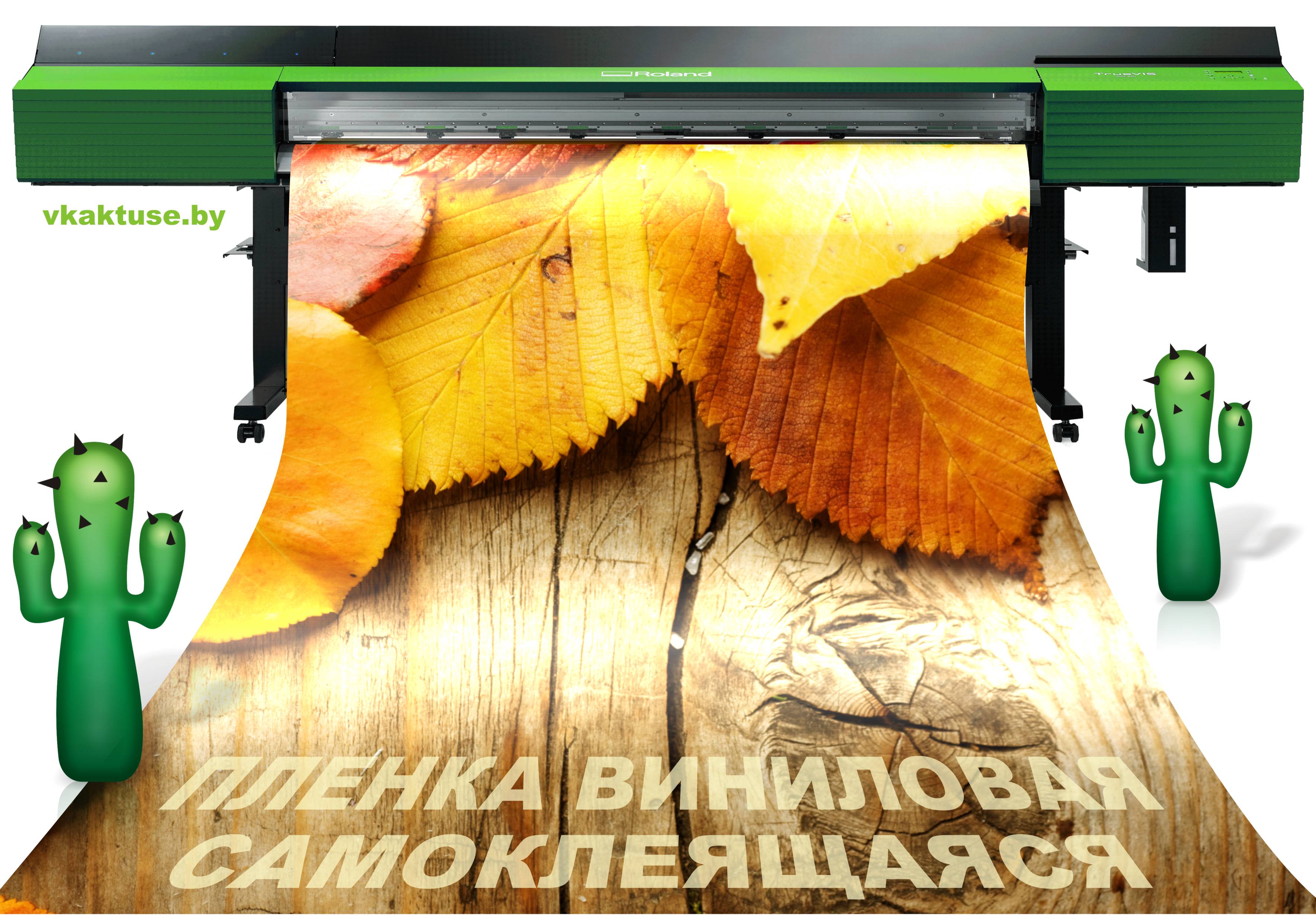 ������ ��������� �� ������������� ������