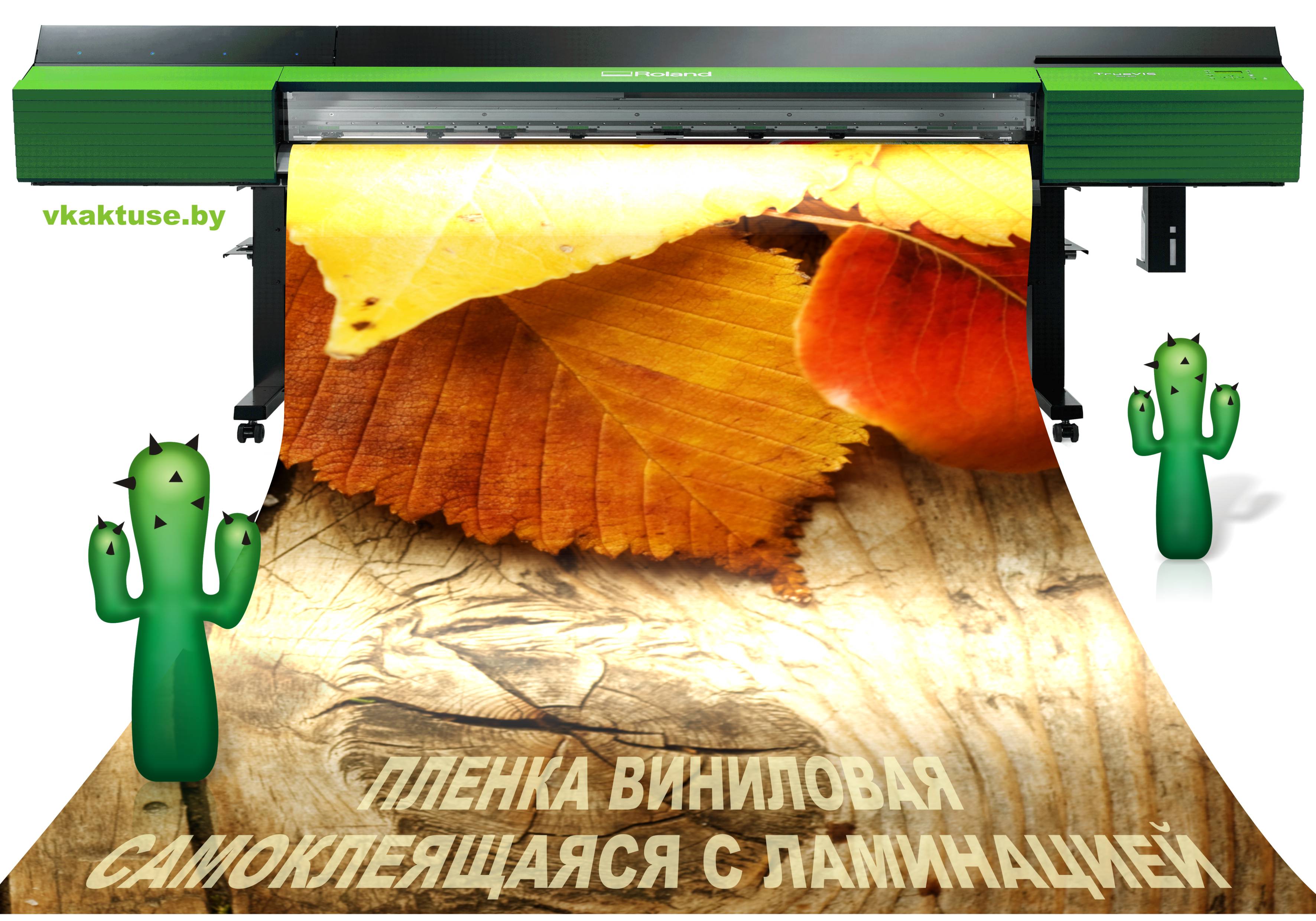 ������ ��������� �� ������������� ������ � ����������